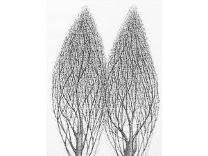 Association-Hiroko-Okamoto-Galerie-Nature-Distance_VII
